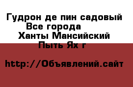 Гудрон де пин садовый - Все города  »    . Ханты-Мансийский,Пыть-Ях г.